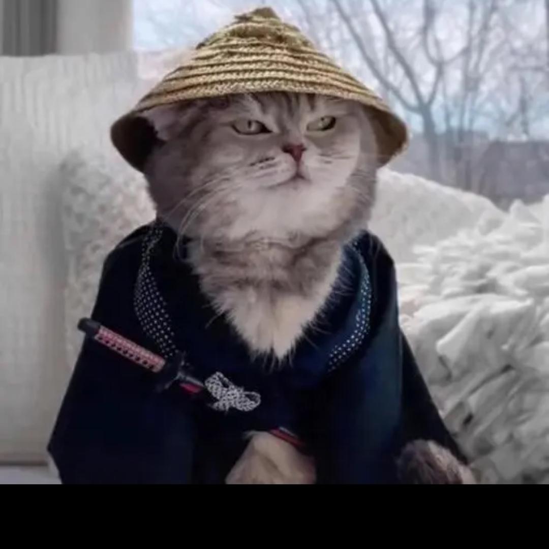 小洛百货经营部