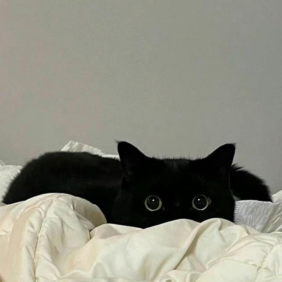 安🌙