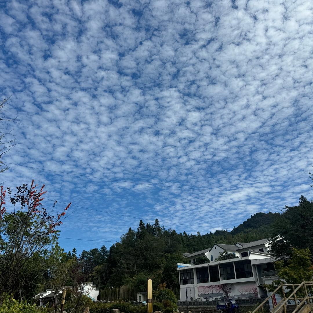 风吹哪页读哪页