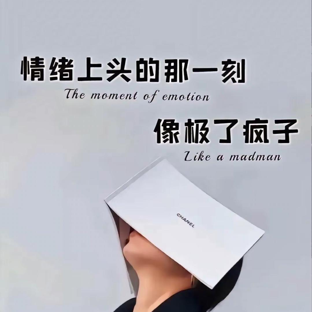 上了岸就不要想海里的事