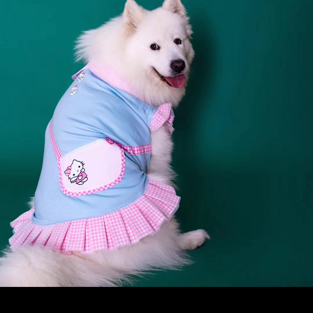 糖多多小公举