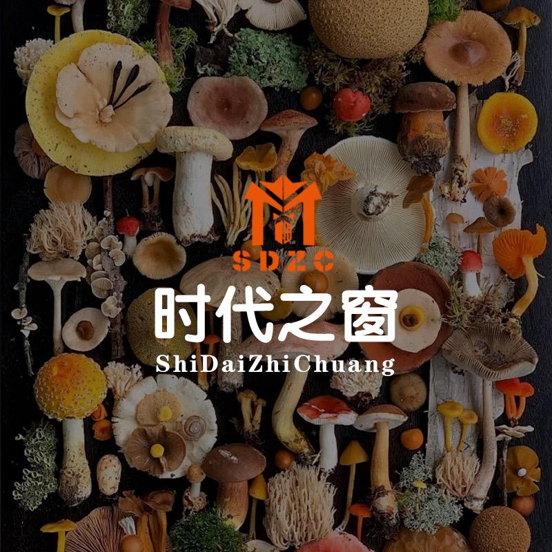 德宏滋补养生专营店