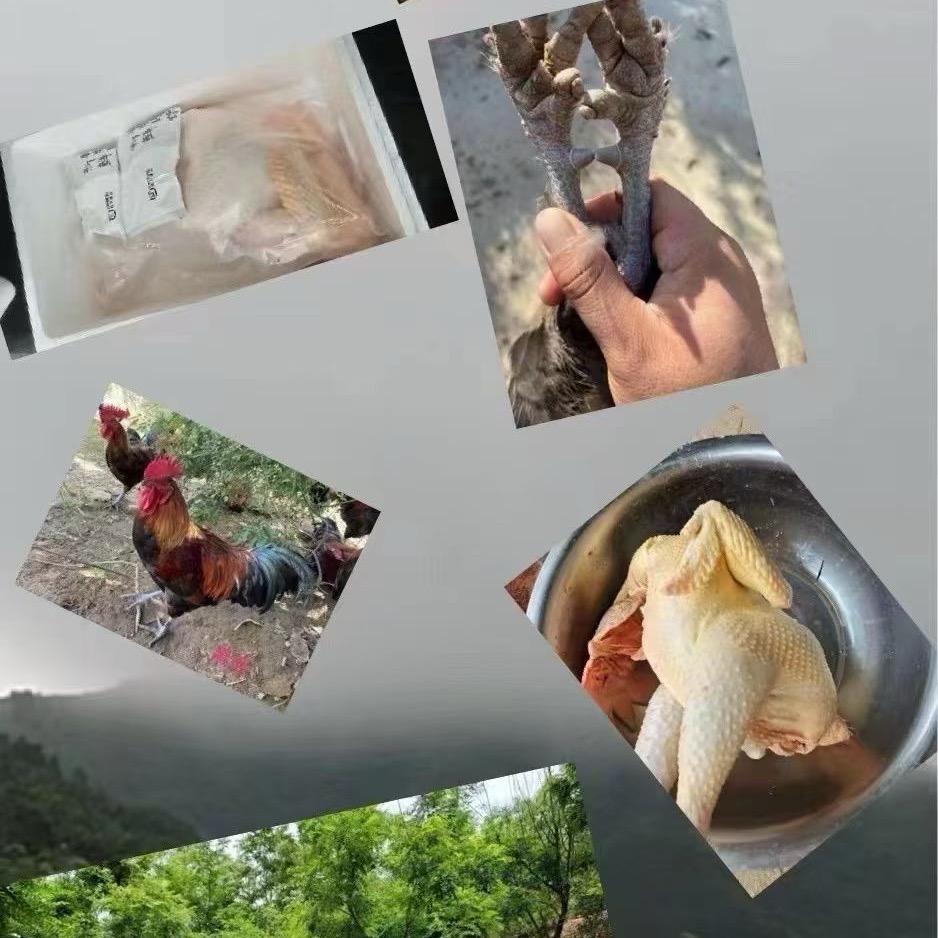 小熊🐻维尼（吕美芳）