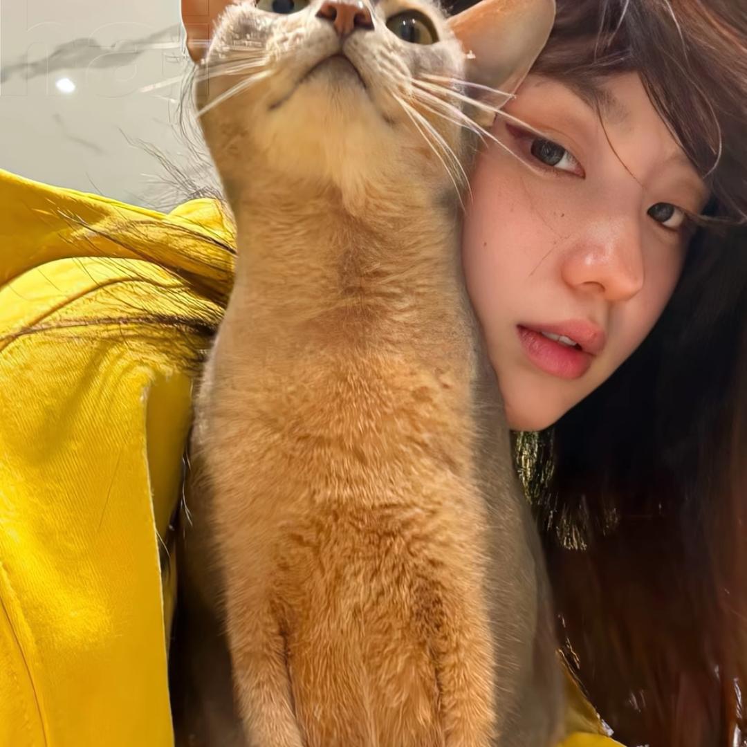 想吃炸笨蛋