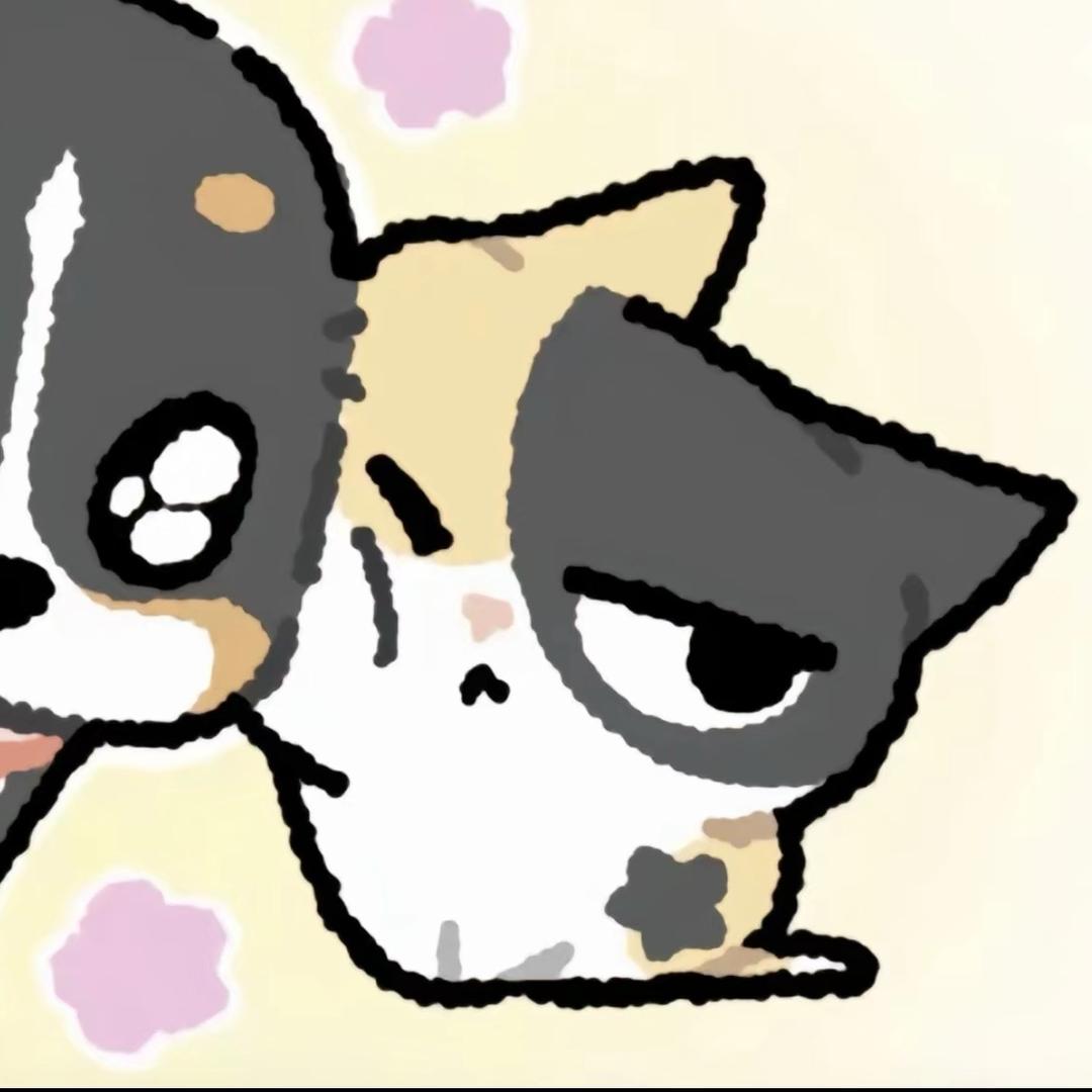 zzz💤