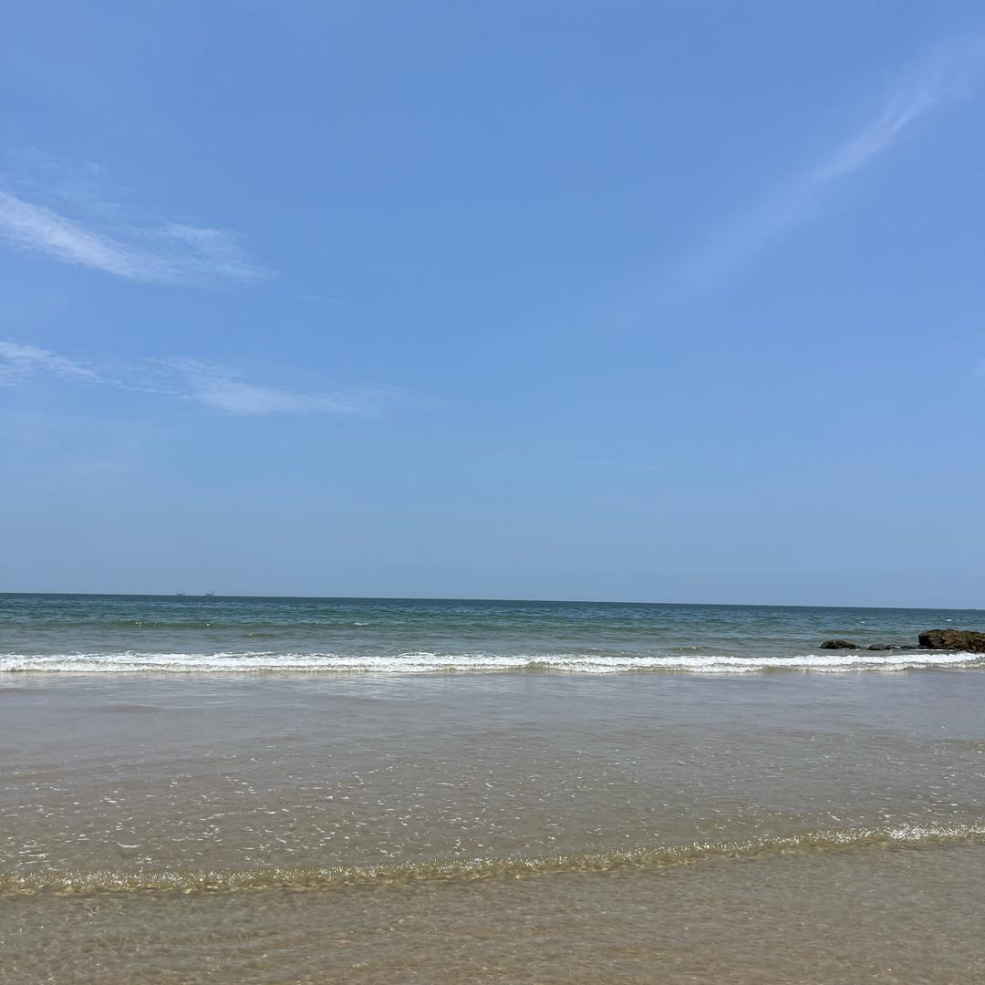 小苗爱钓鱼🎣