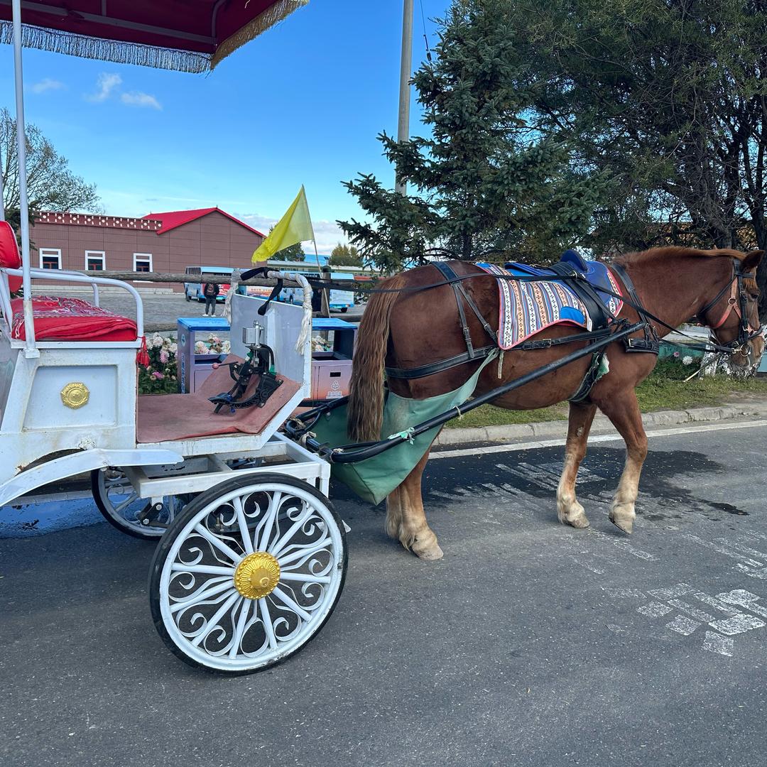 天水驾校柳教练