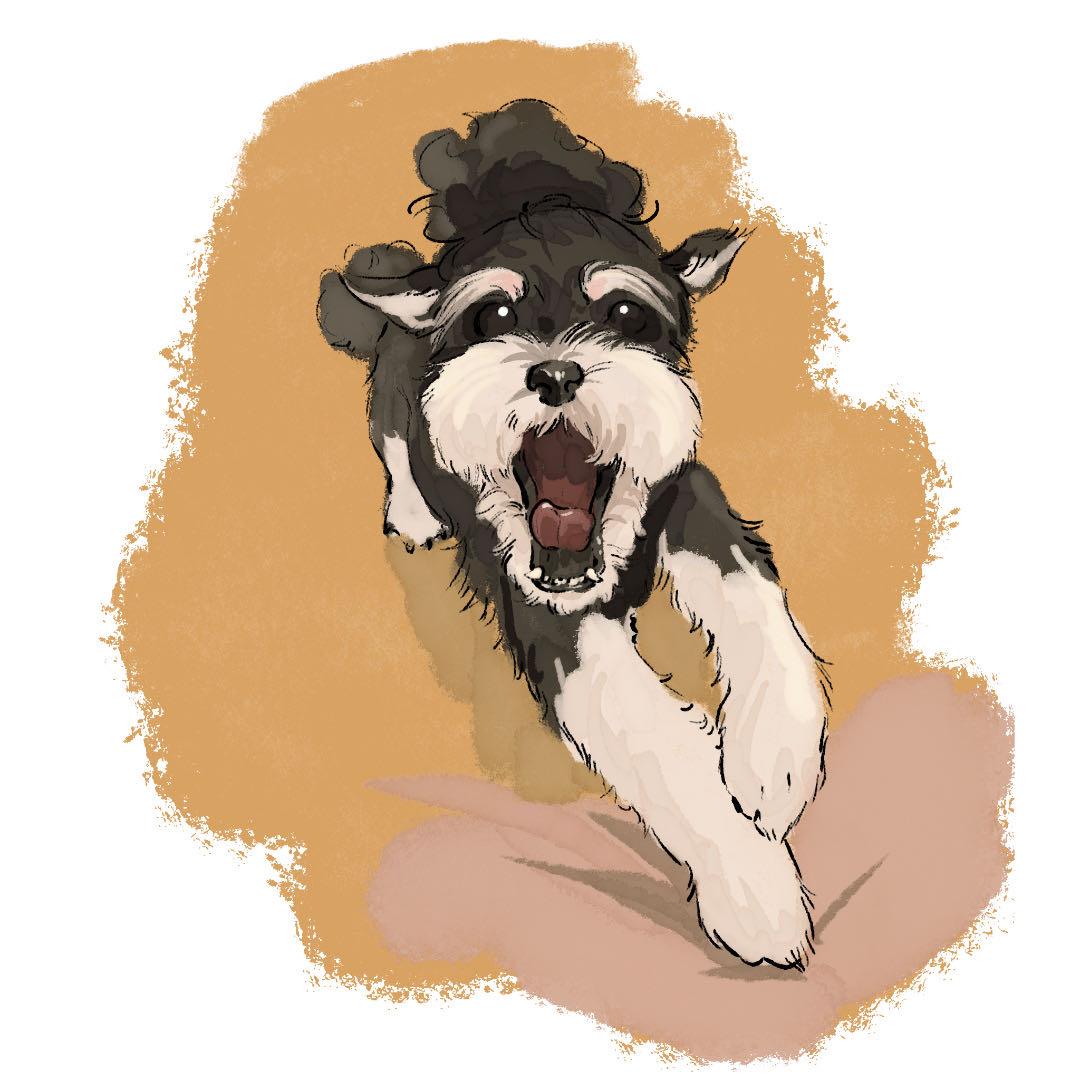 ✨果妮宝🌫❄️