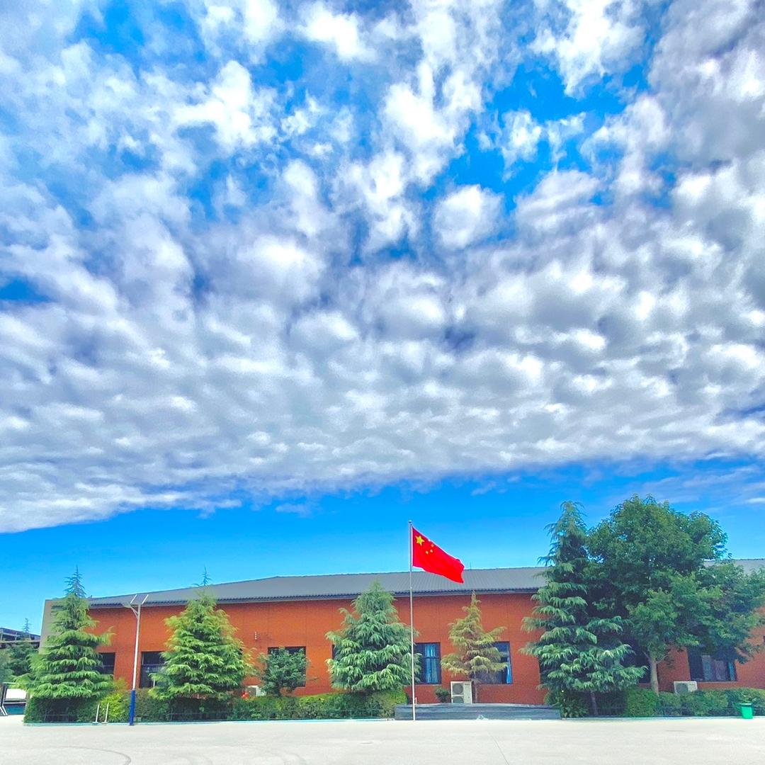 @博达小学