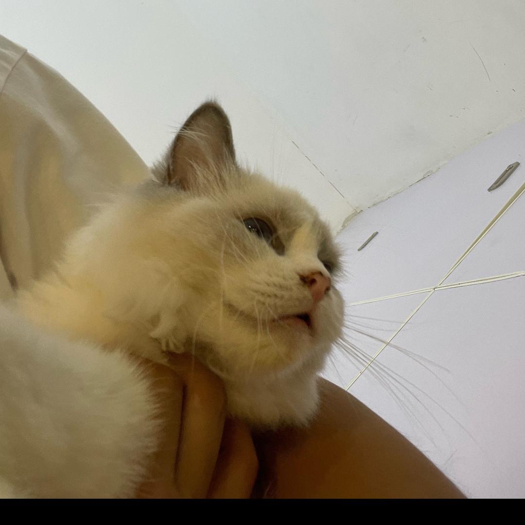 二十一克。