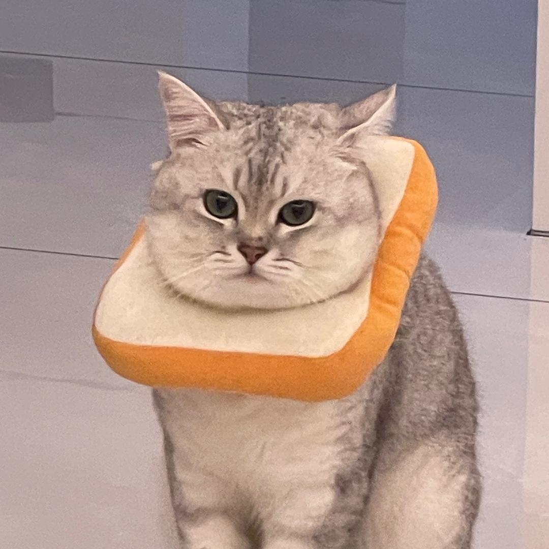 蛋糕（途虎养车）