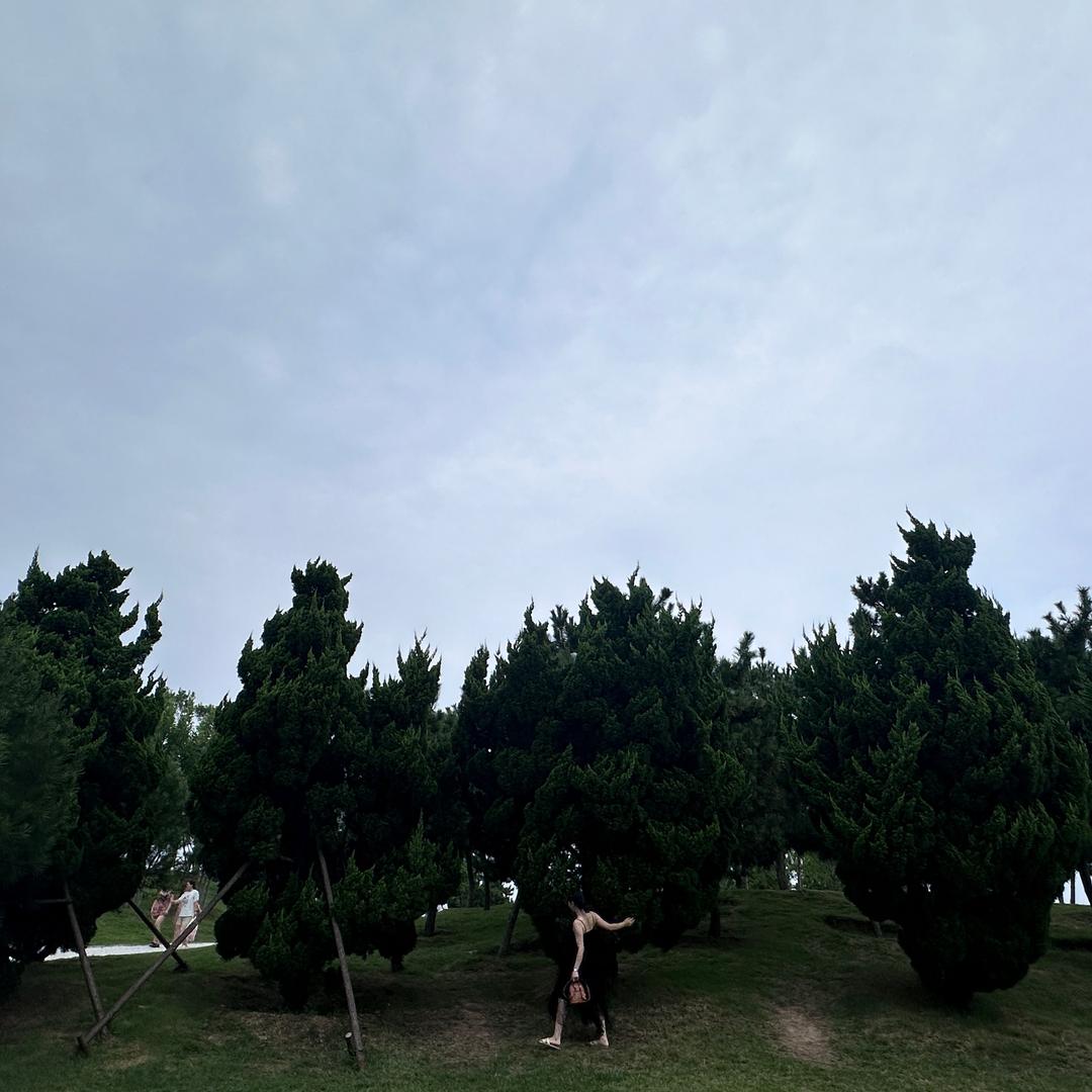 多多的大管家