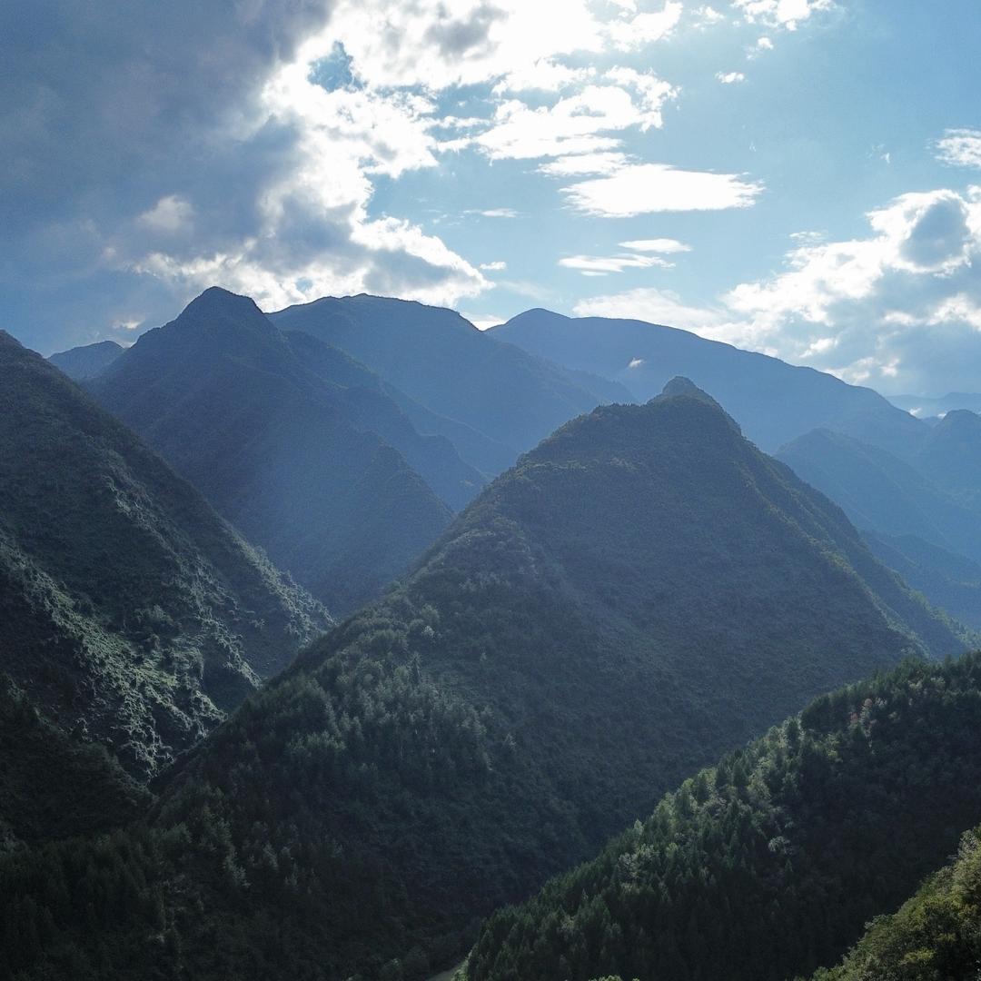 男老表女老表都是老表