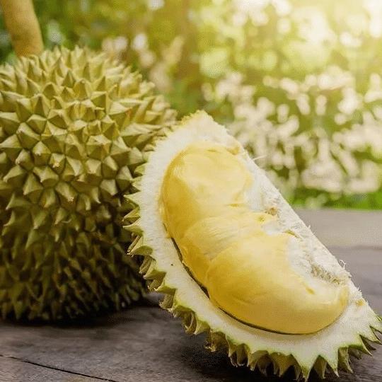 河南三支梅进出口贸易有限公司榴莲