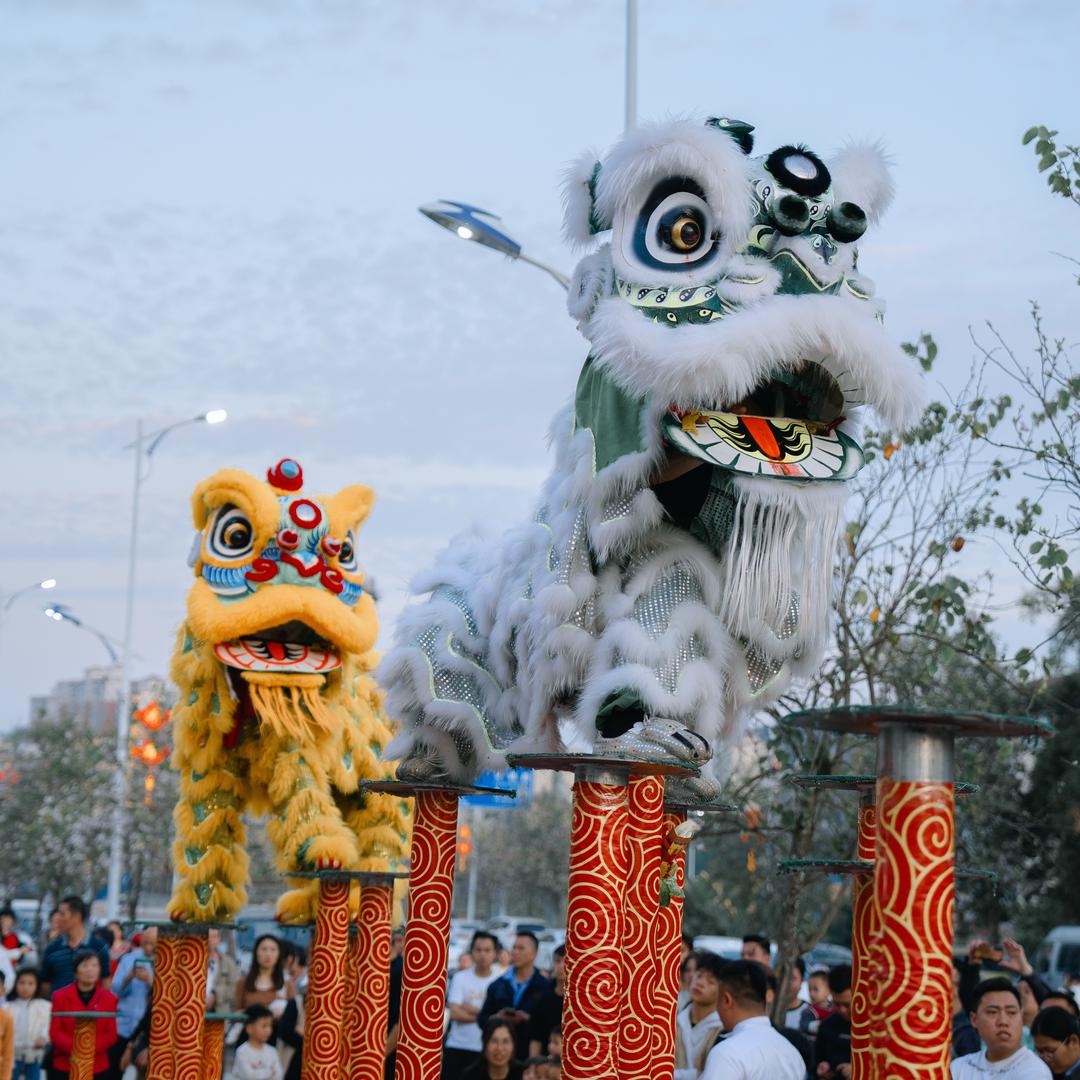 A🇨🇳佛山醒狮《董》