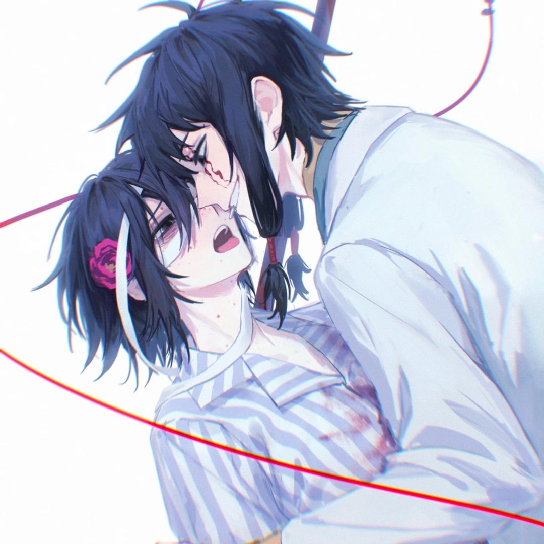 鸠