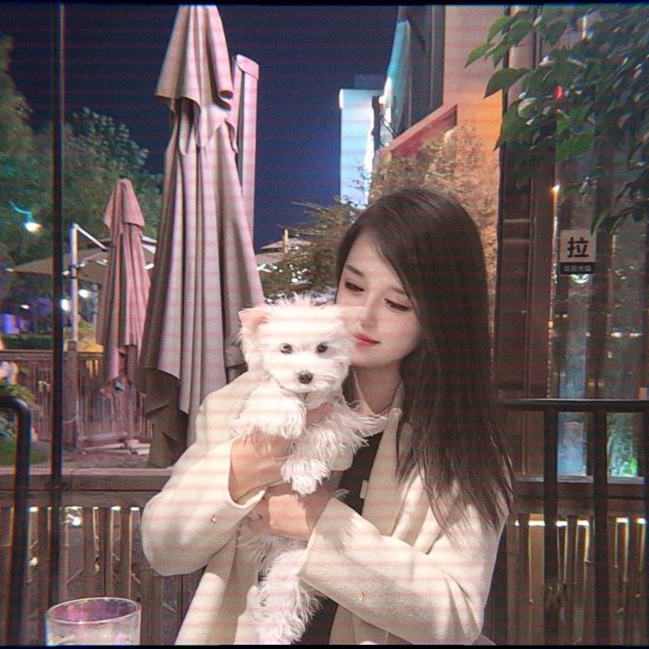 王德发是只雪纳瑞🫡