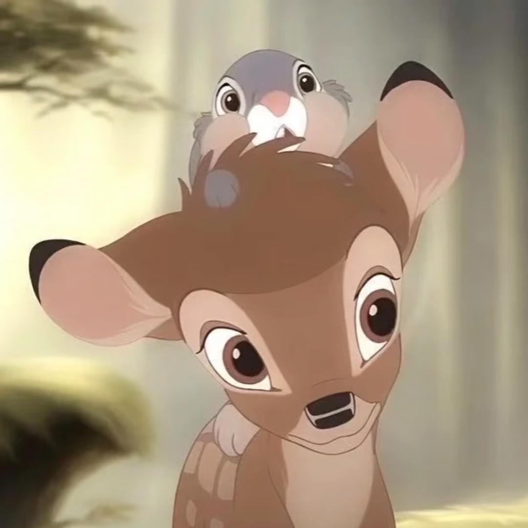 喜喜椰ꉂ ･ ･ ིྀฅ