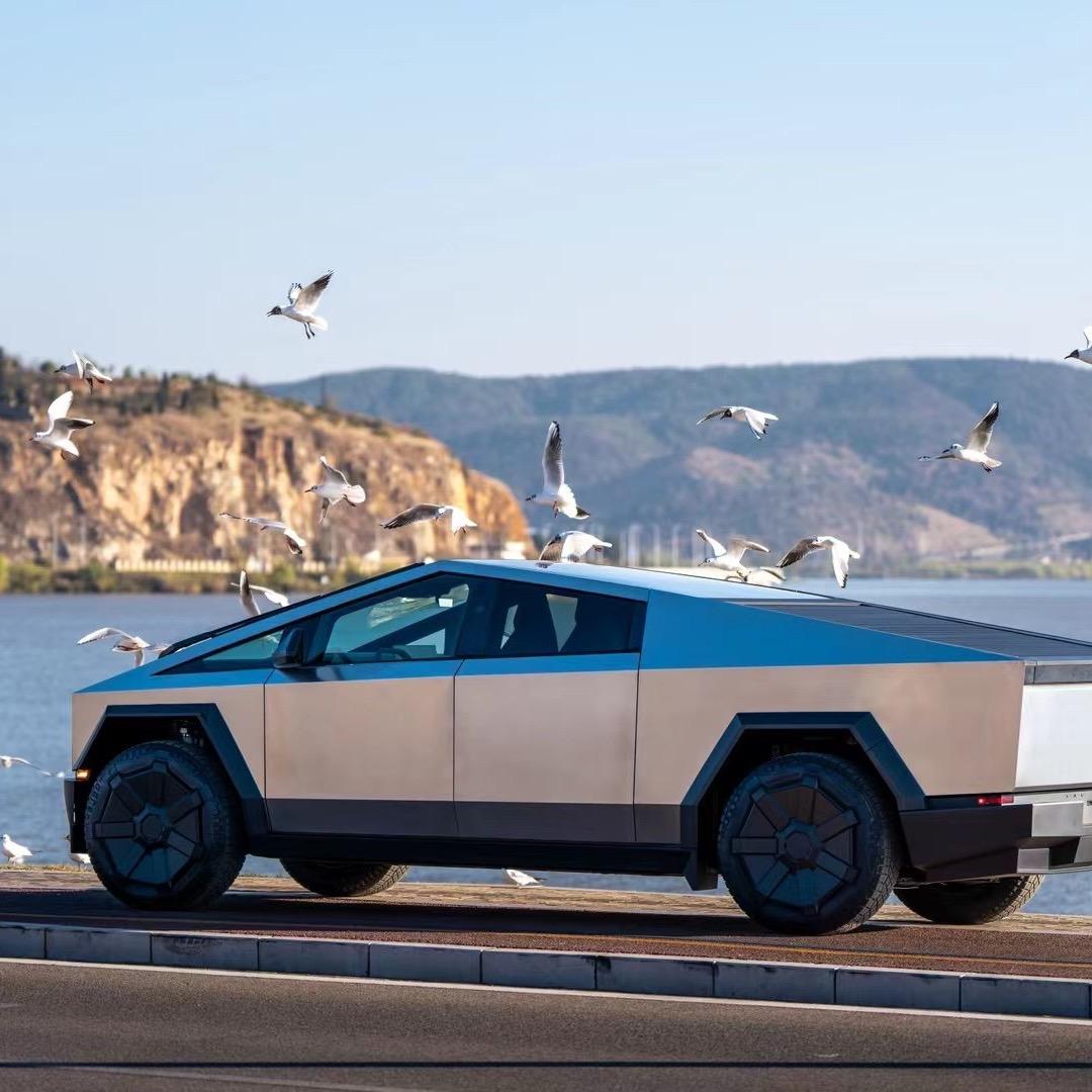 云南高端新能源租车