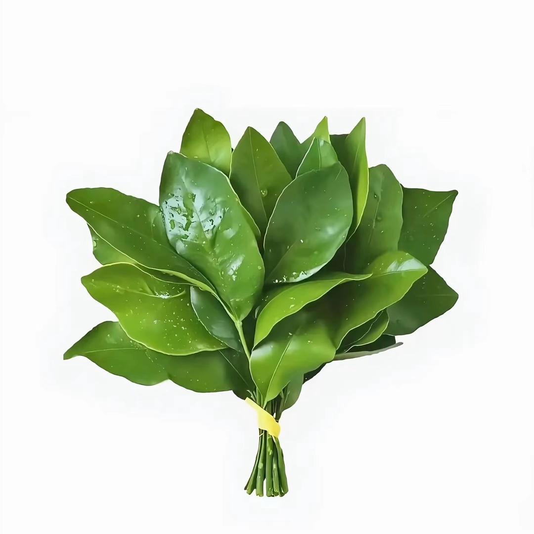 差¹点心动.🦋💭