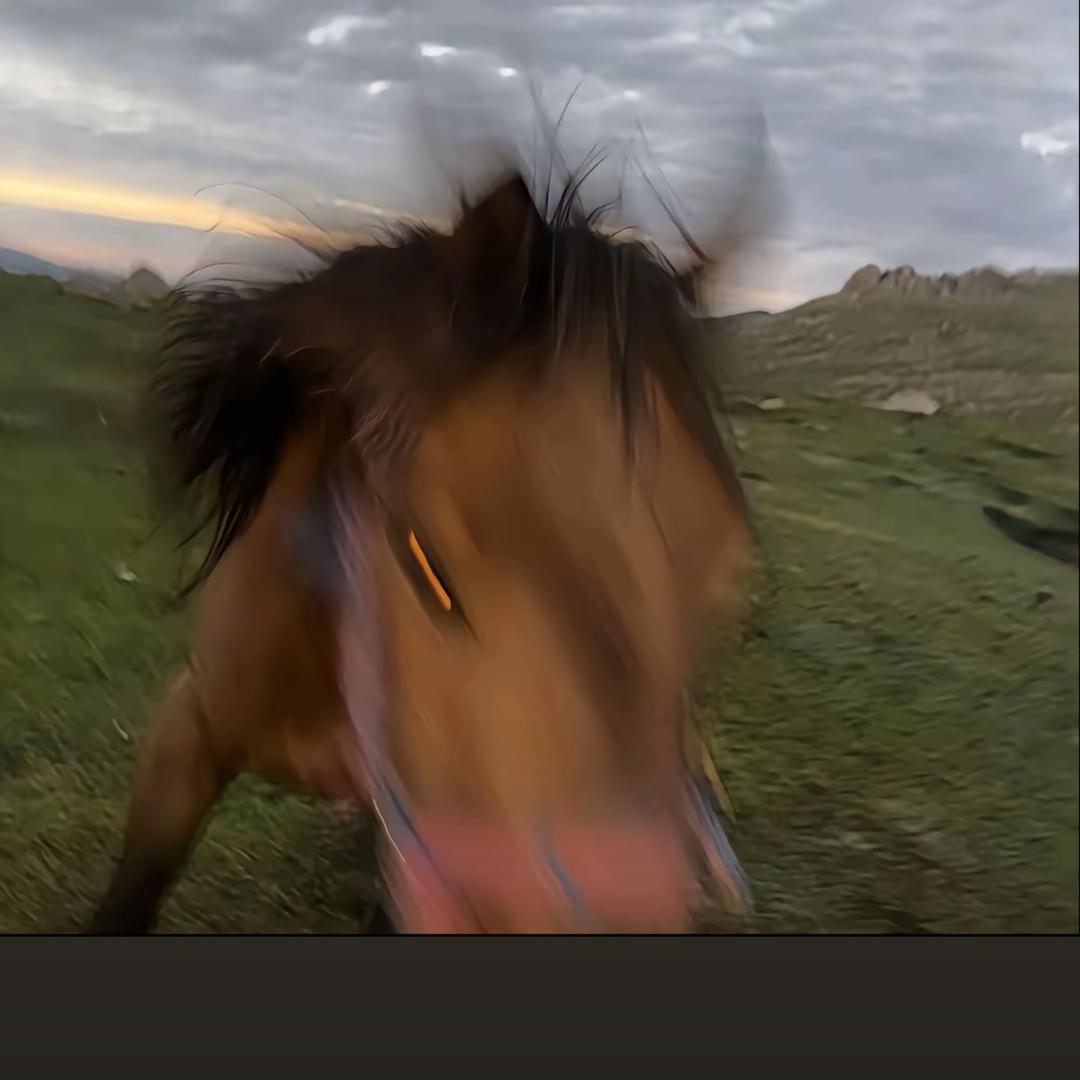 ⚡️