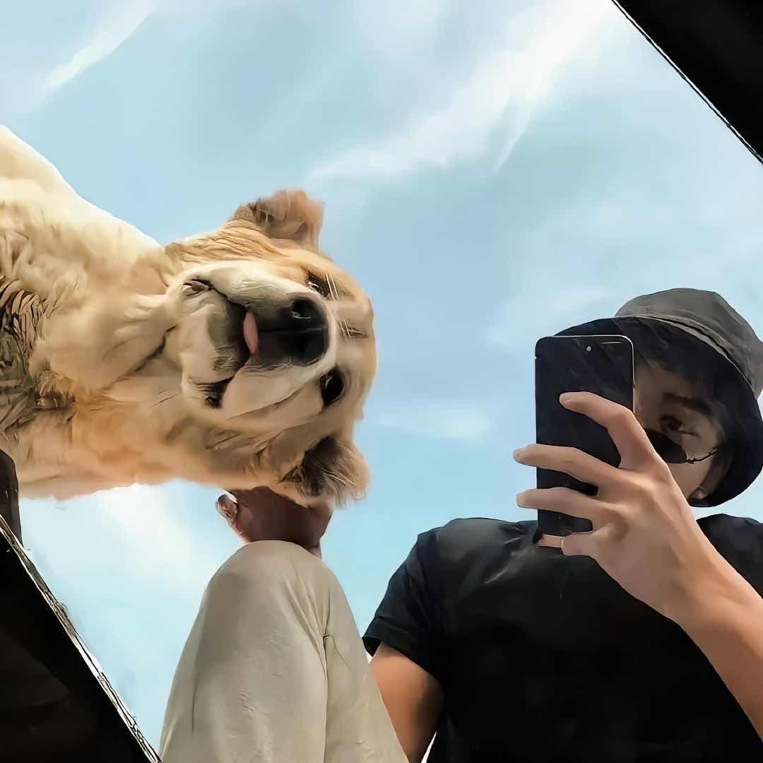 🌈疯狂才是关键