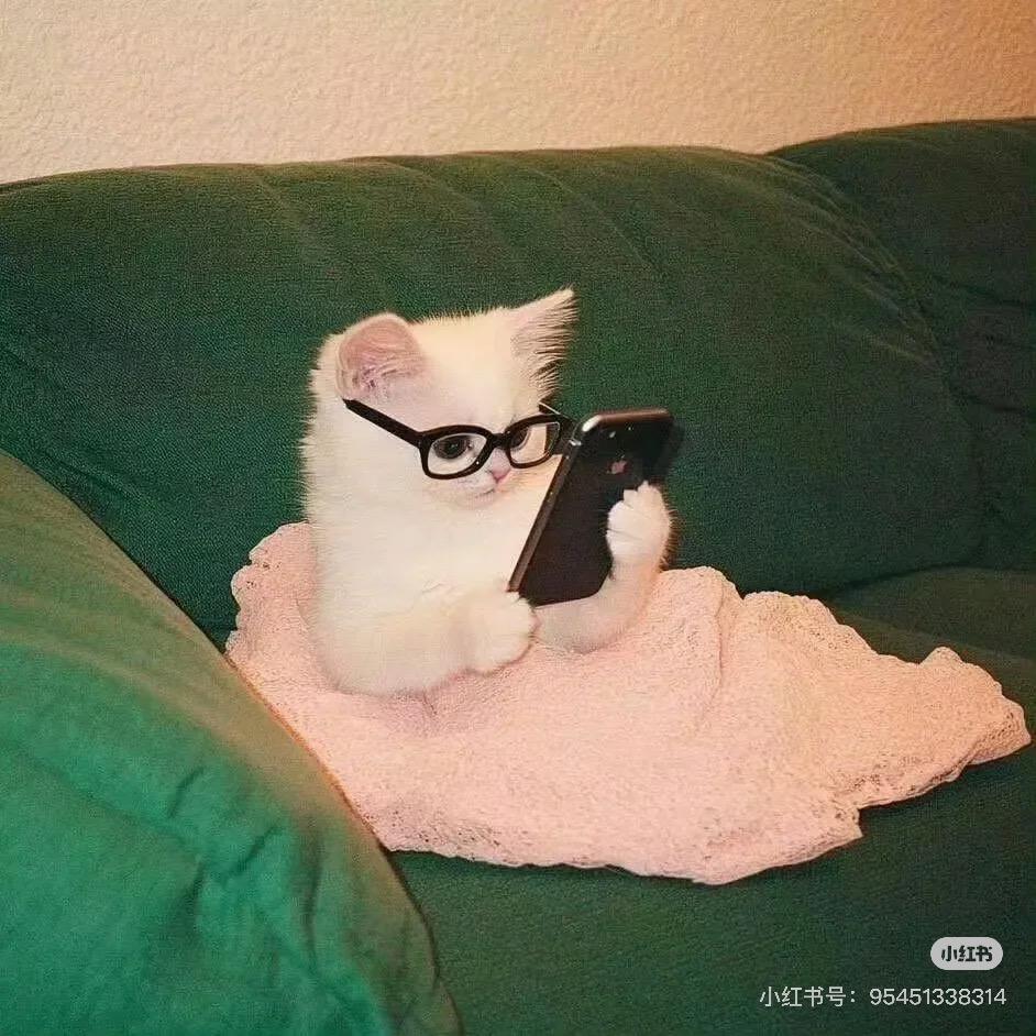 哆来A梦