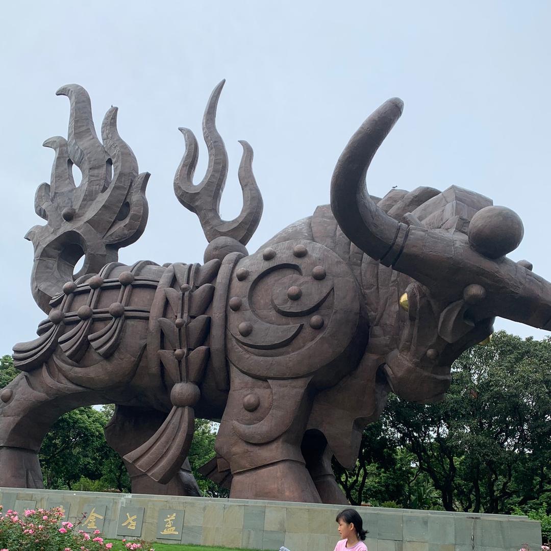 高利数码