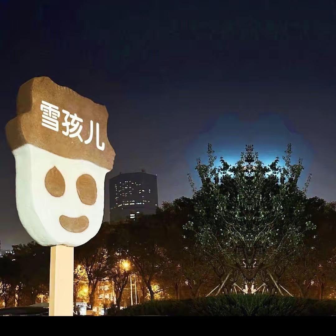 liuma20170106（v）