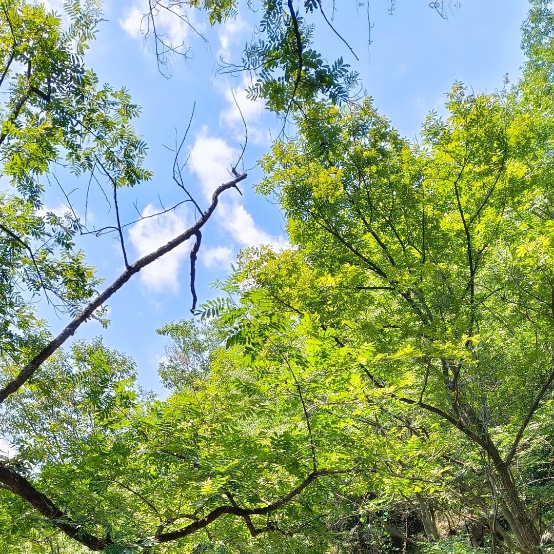 静静想静静