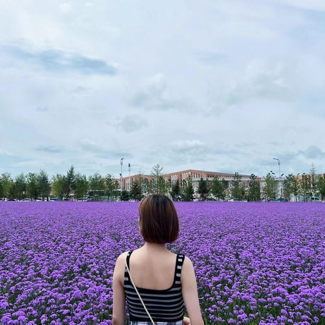 小美