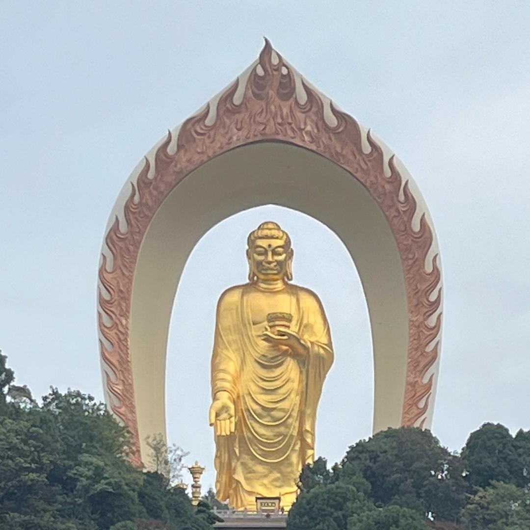 球球酱(静安)