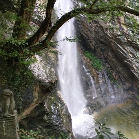 社旗县大鹏装饰