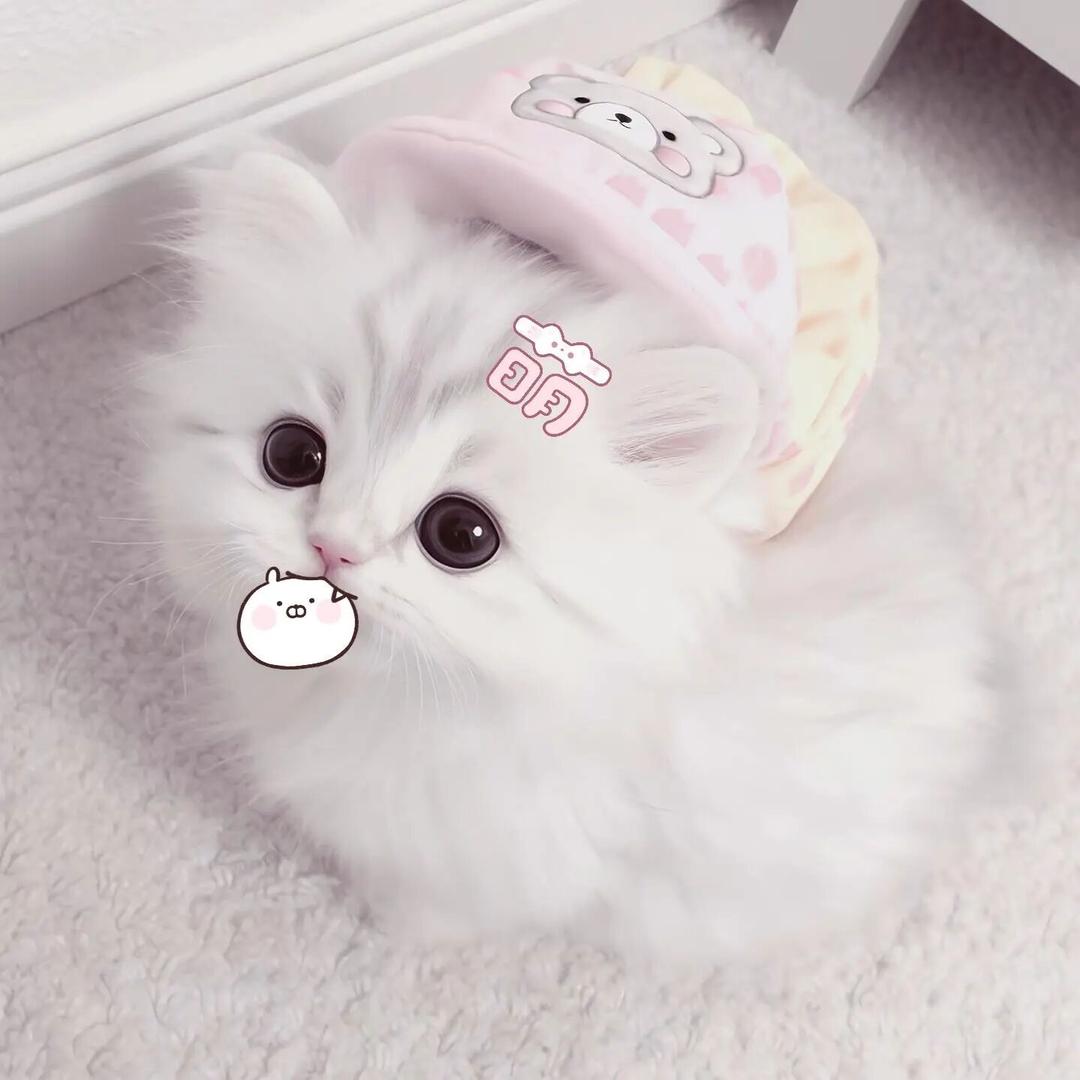风铃