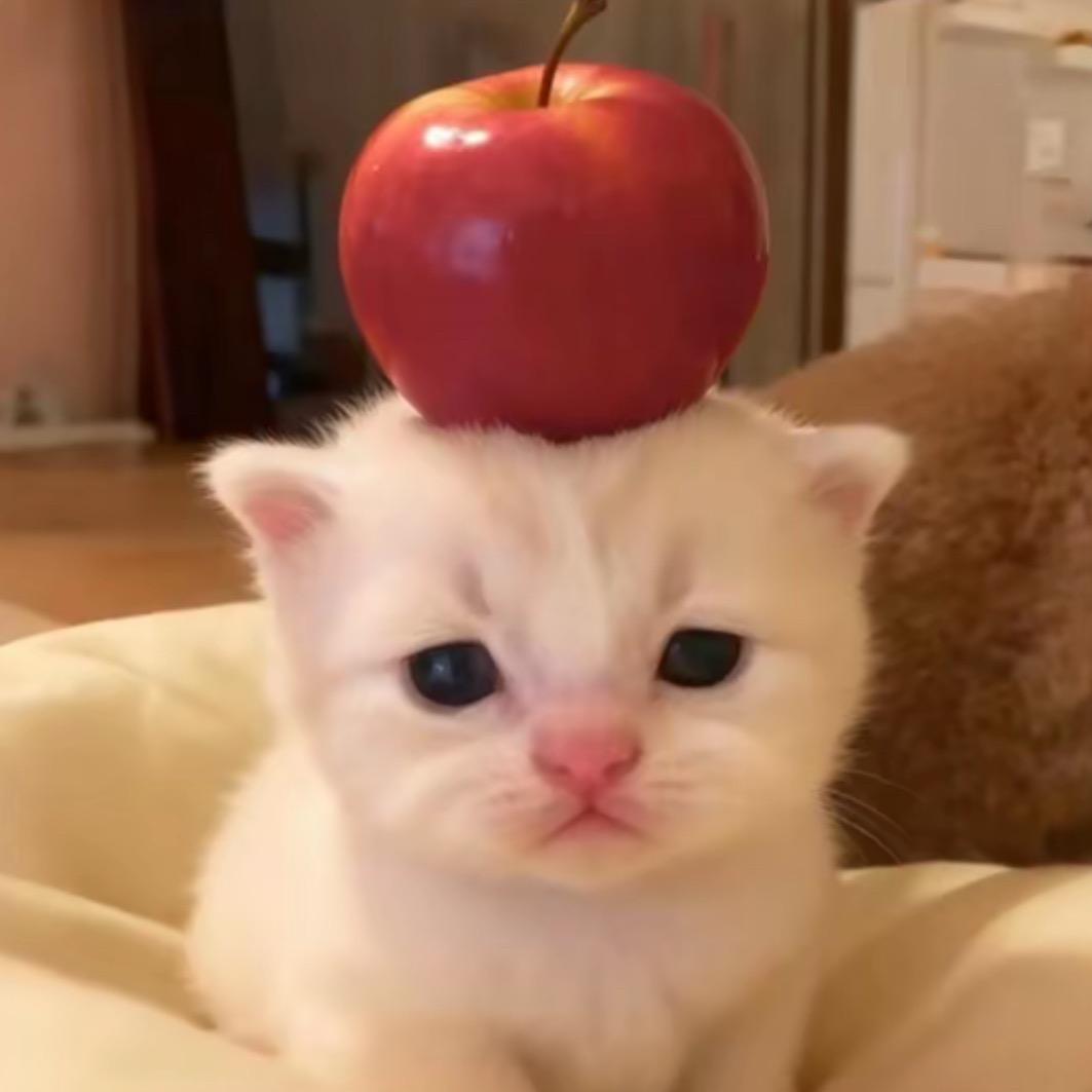 🍅