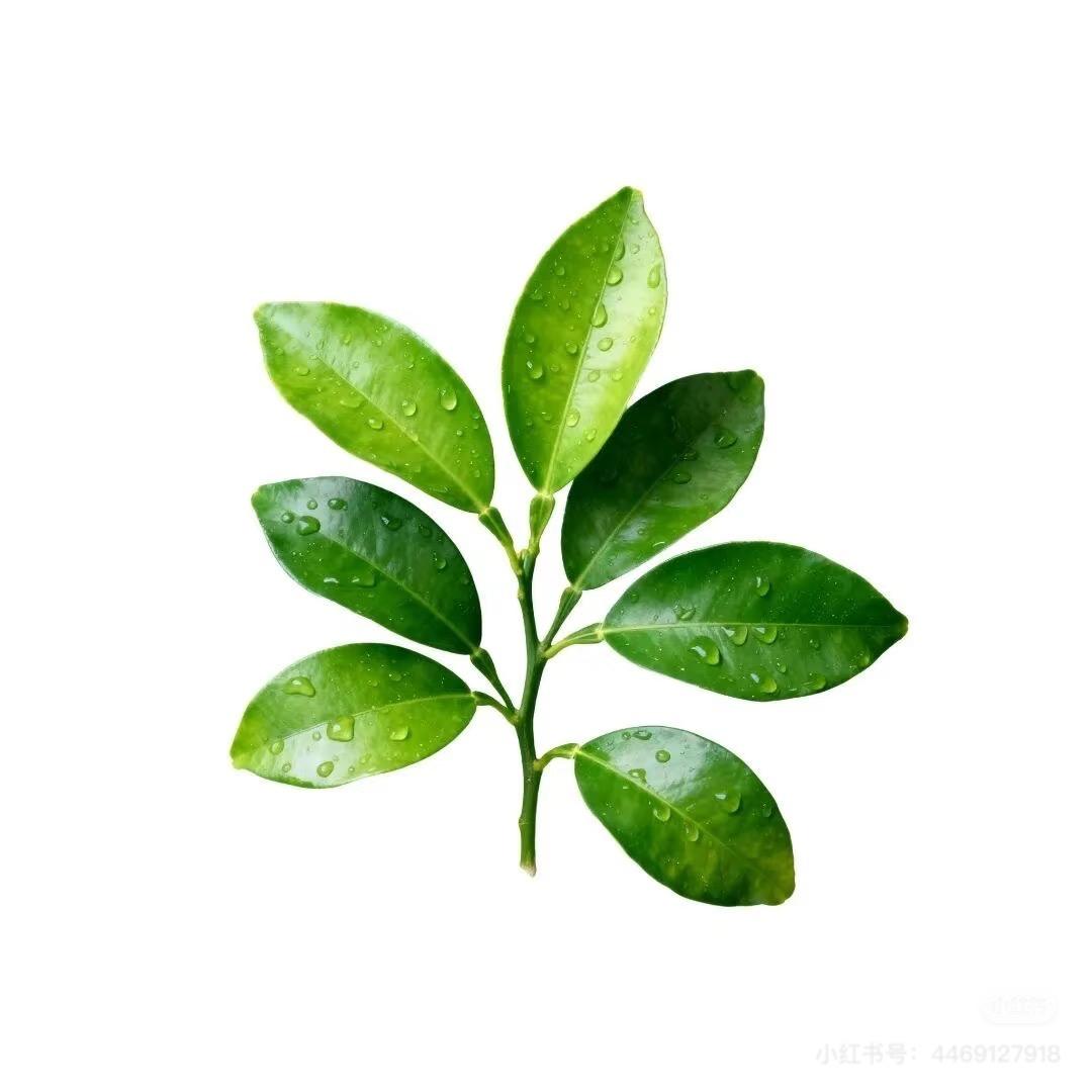 吃好好