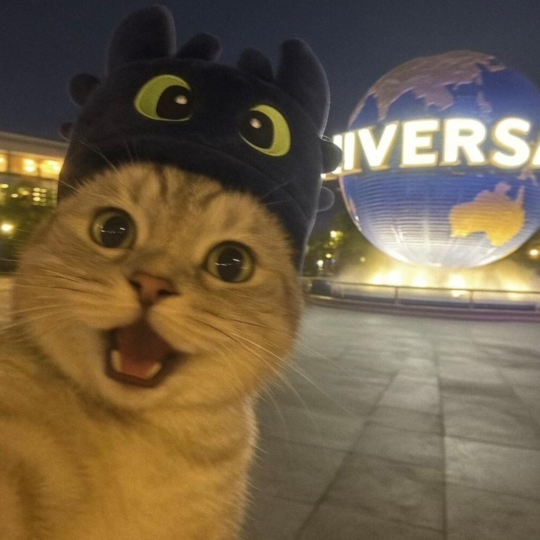 财神爷的独生子