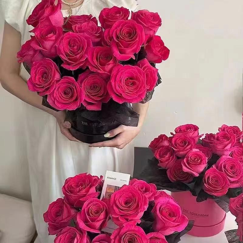 叶能家用电器商行