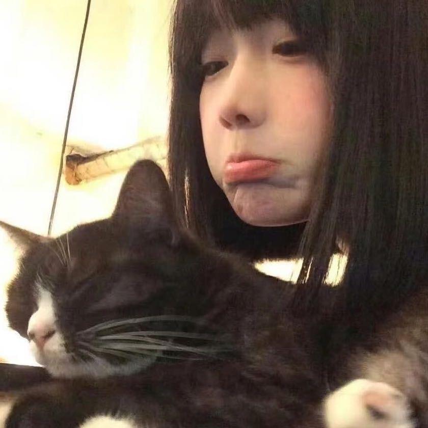 ㅤㅤㅤㅤㅤㅤ小罗