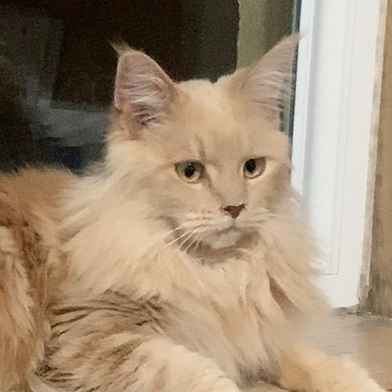 花生（永劫无间PVE）