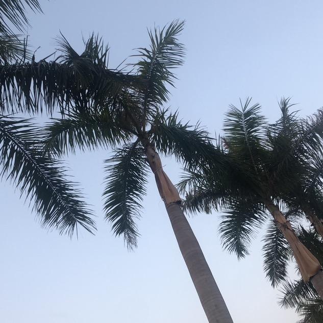 晨思