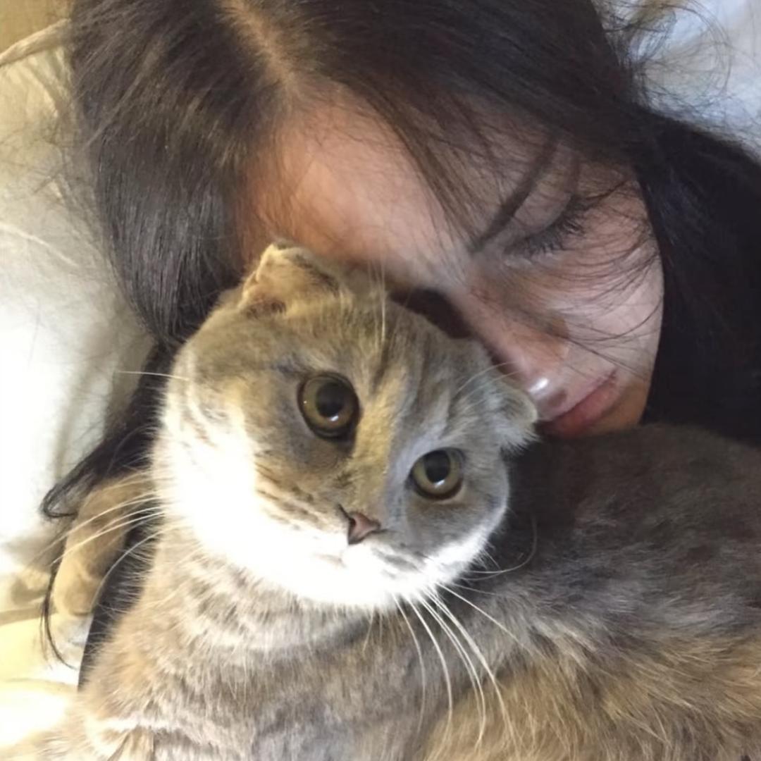 那些虚伪的东西完全可以不存在