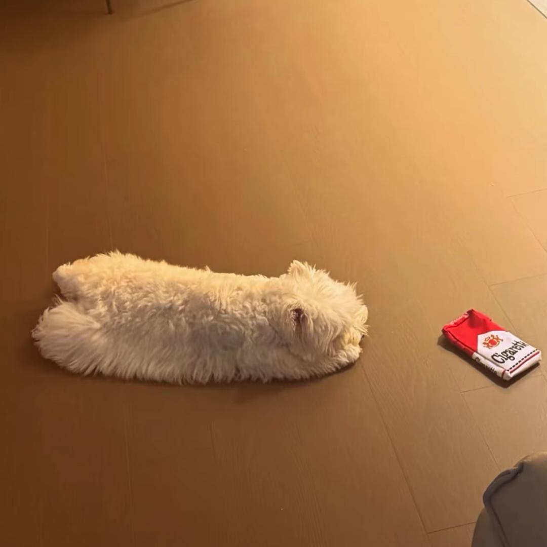 寒寺