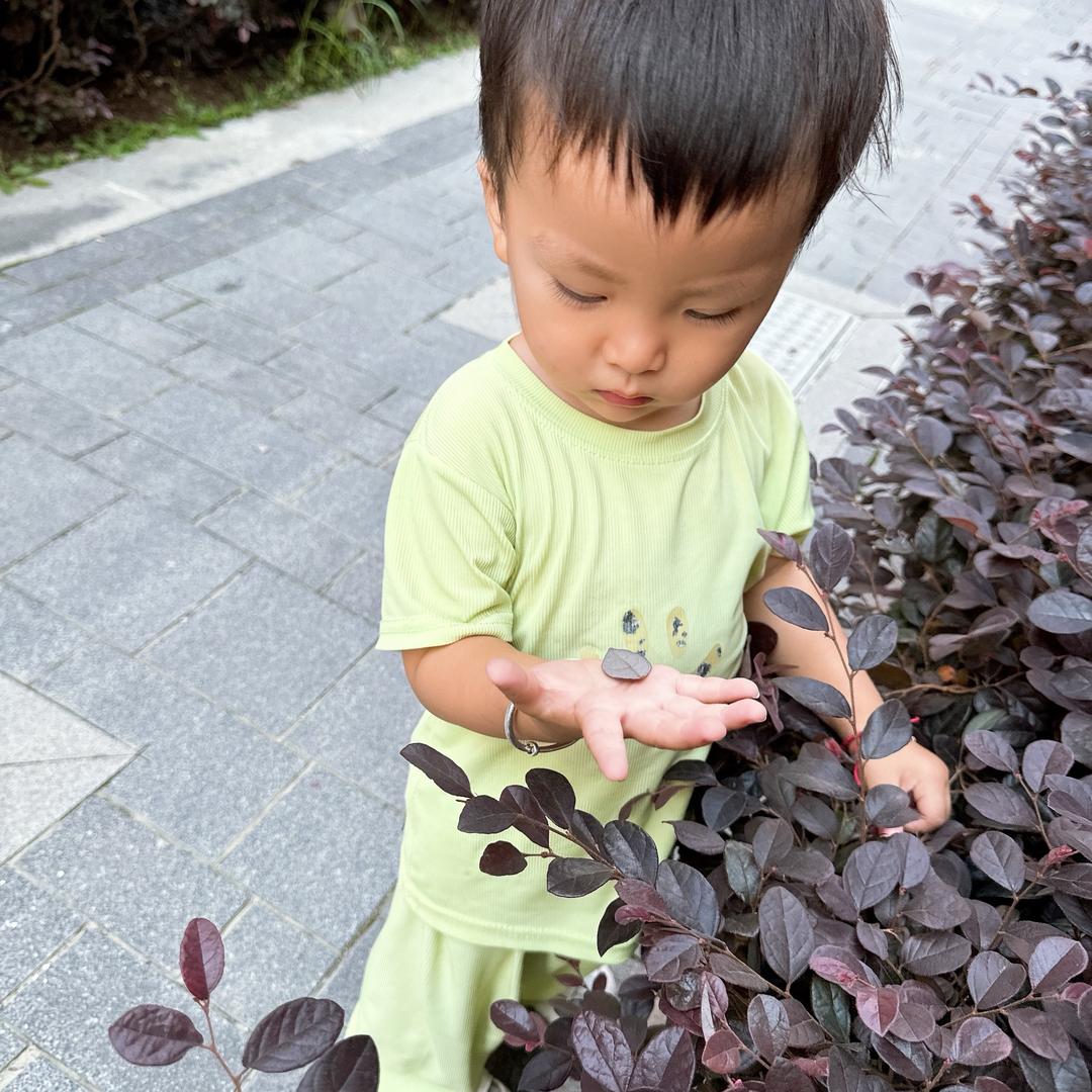 是花蕊的蕊～