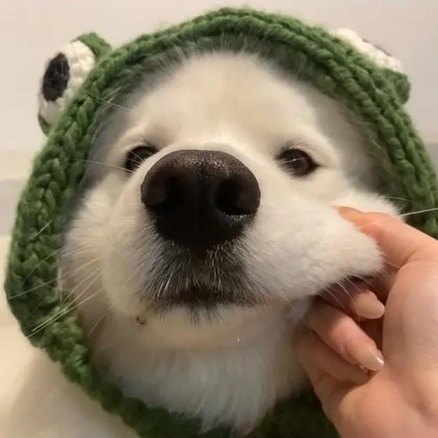 炸酱面