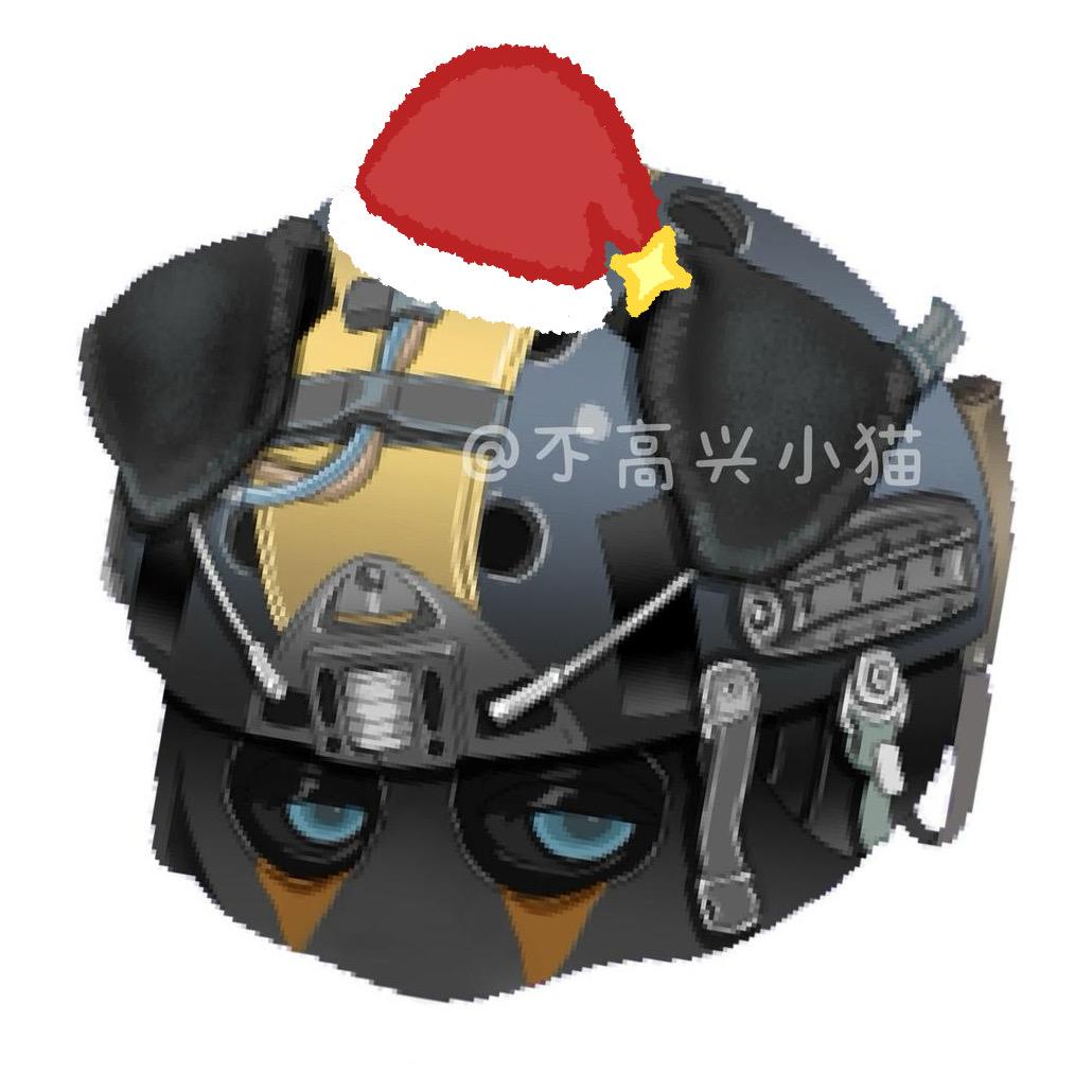 不高兴小猫