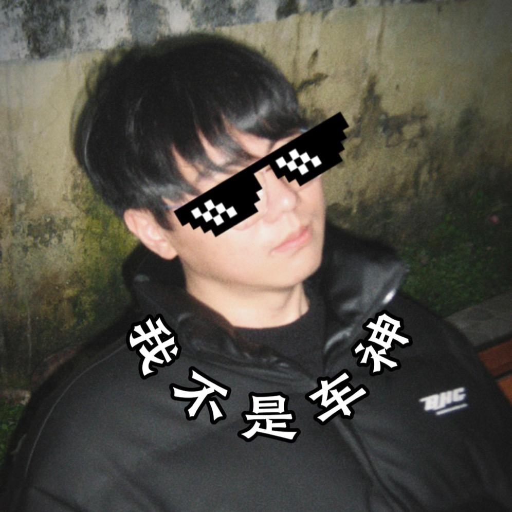 电车小皮Hya