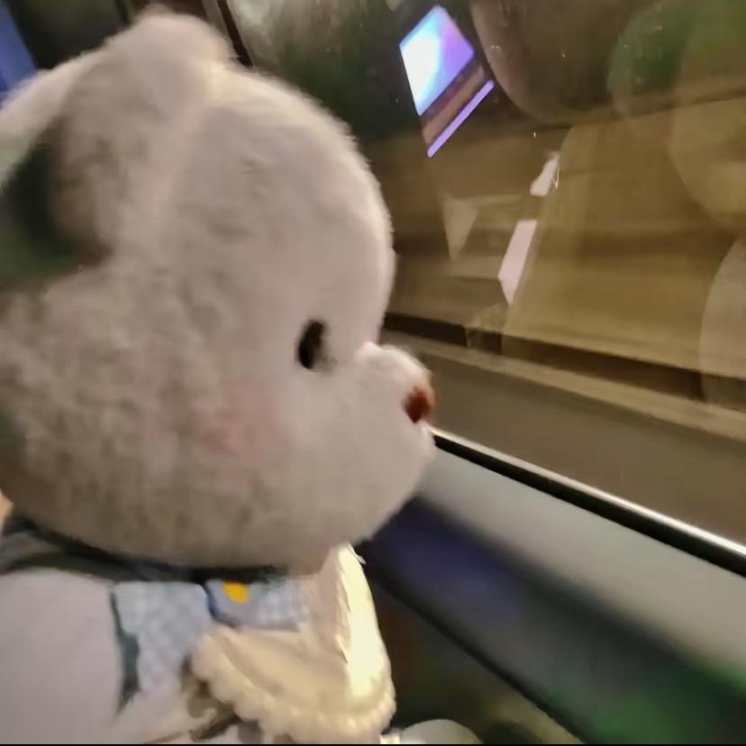 菏泽驻武汉大使