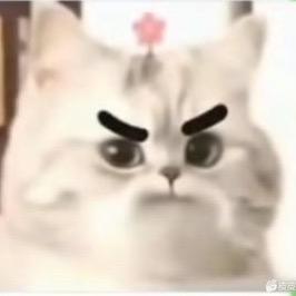 A强仔