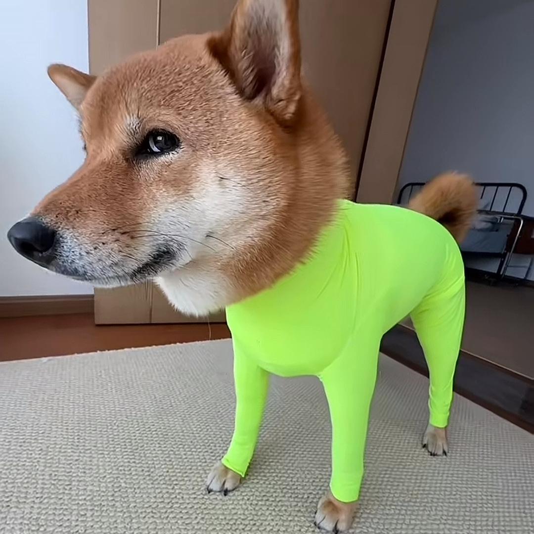 1.0食
